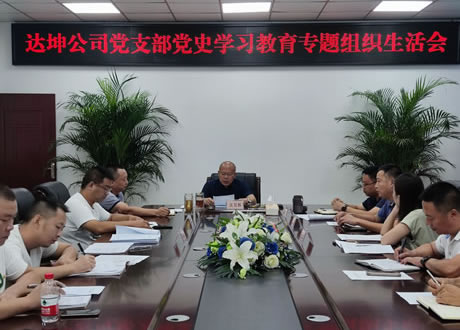 “党课＋批评”：达坤公司支部党史学习活动 专题组织生活会这样开！