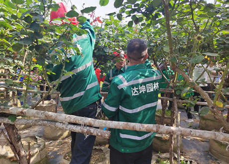 经开区组队参加全市首届园林技能比武大赛获优秀奖