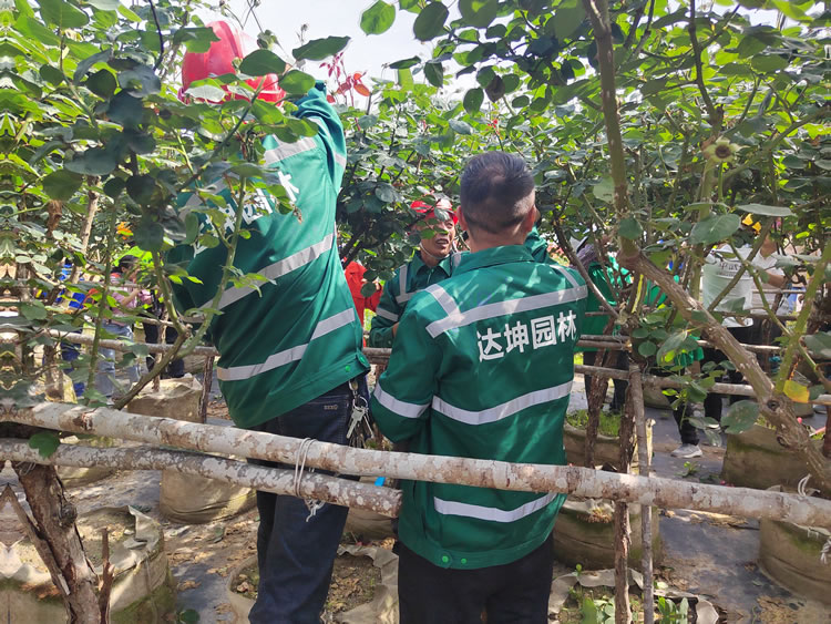 经开区组队参加全市首届园林技能比武大赛获优秀奖