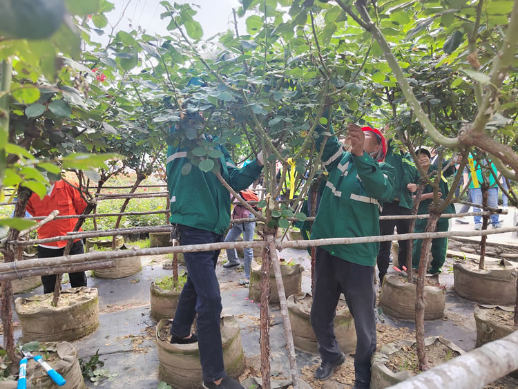 经开区组队参加全市首届园林技能比武大赛获优秀奖