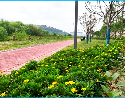 达坤公司接受6月目标绩效观摩点评考核