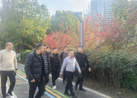 游仙区领导率队来我区观摩学习公园建设经验